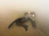 klywrxzzp Altpins Profile Picture
