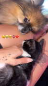 _batzir_haanavim Altpins Profile Picture