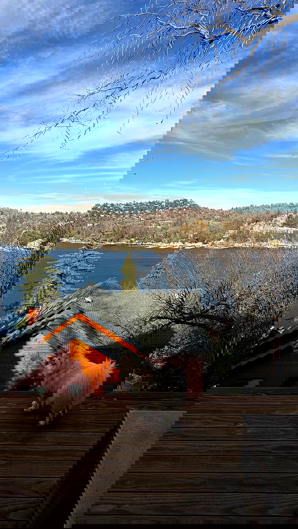 carolinezalog carolinezalog archive image