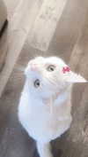 1uvgabi Altpins Profile Picture