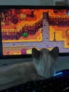 tatumchurch Altpins Profile Picture