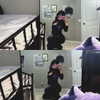 nep.tune.ee Altpins Profile Picture