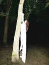 suspiria.em Altpins Profile Picture