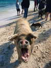 megann_eliizabeth Altpins Profile Picture