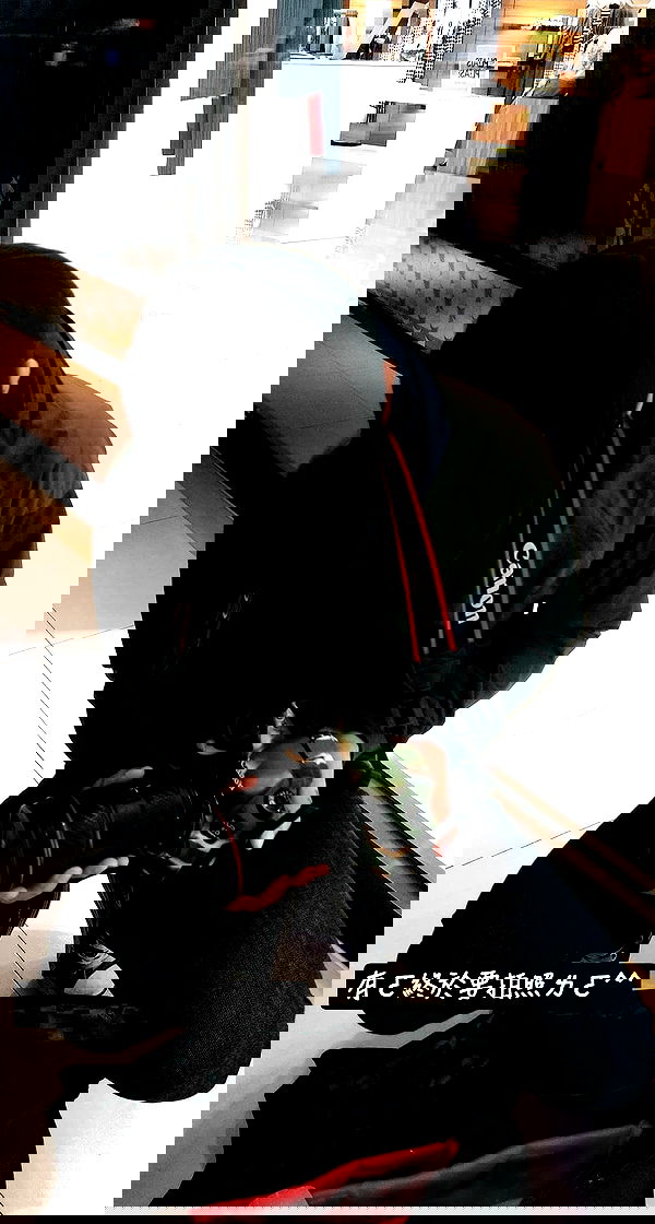 ting851204 ting851204 archive image