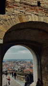 annabottoo Altpins Profile Picture