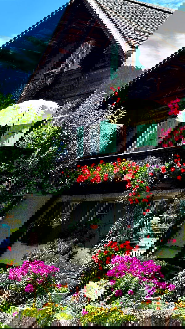 taylor.creeden taylor.creeden archive image