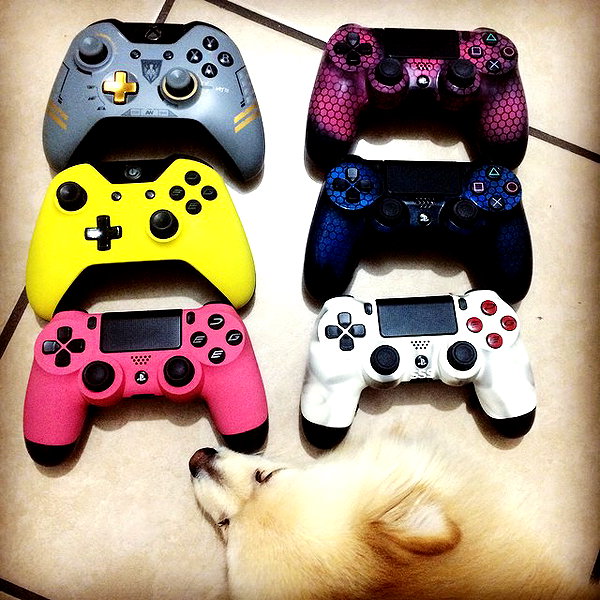 sssniperwolf instagram image archive image
