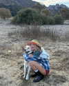 gabbyepstein Altpins Profile Picture