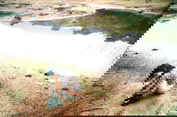 ting851204 ting851204 archive image