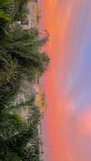 lia_ey99 Altpins Profile Picture