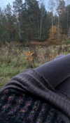 danafetishistova Altpins Profile Picture