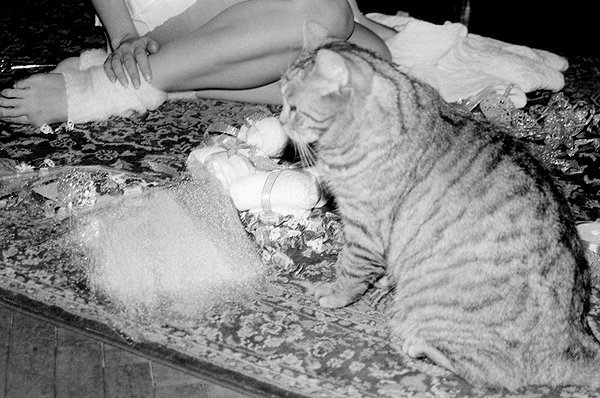 milena_milachich instagram image archive image