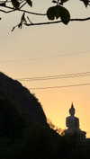 dina_shrago Altpins Profile Picture