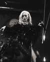 xtina Altpins Profile Picture