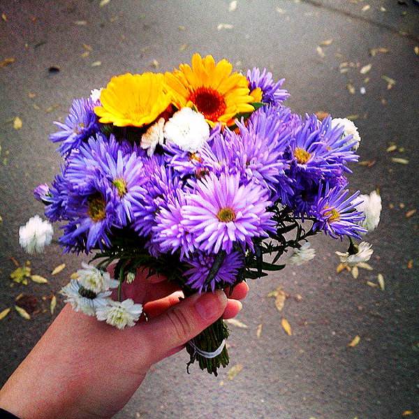 sychevskaya instagram image archive image