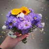 sychevskaya Altpins Profile Picture