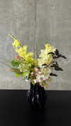 vvelum_ Altpins Profile Picture