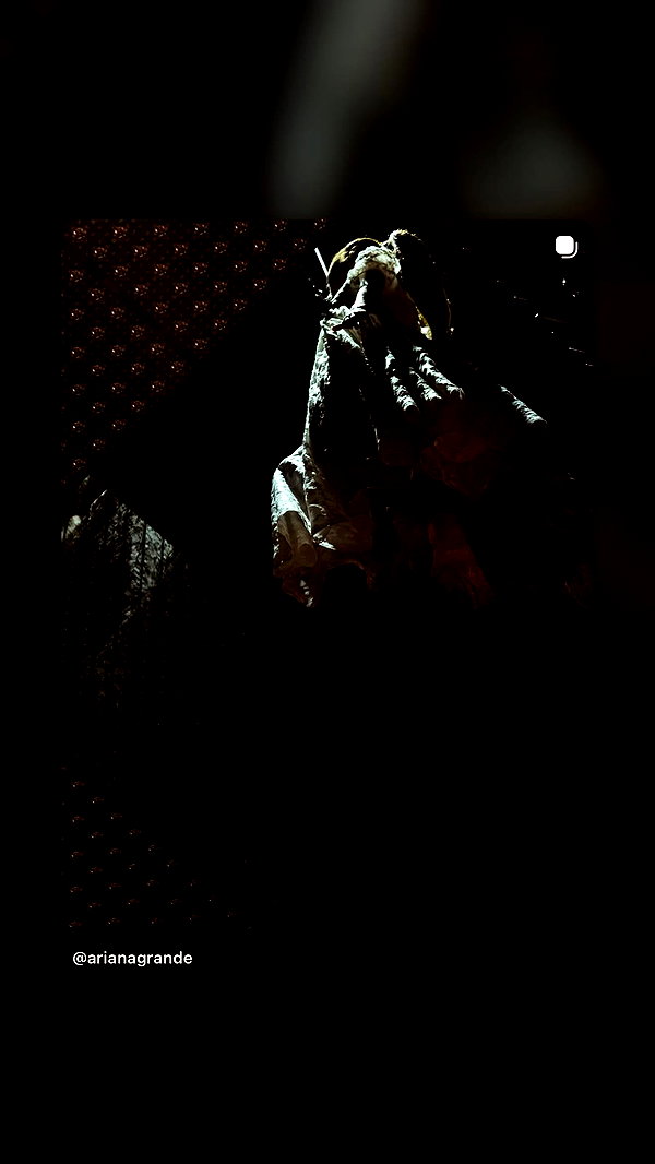 arianagrande arianagrande archive image
