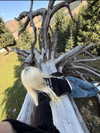 fair_mua Altpins Profile Picture