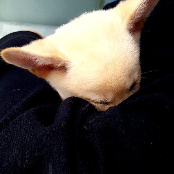 daxbin instagram image archive image
