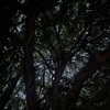 haileylayfield Altpins Profile Picture