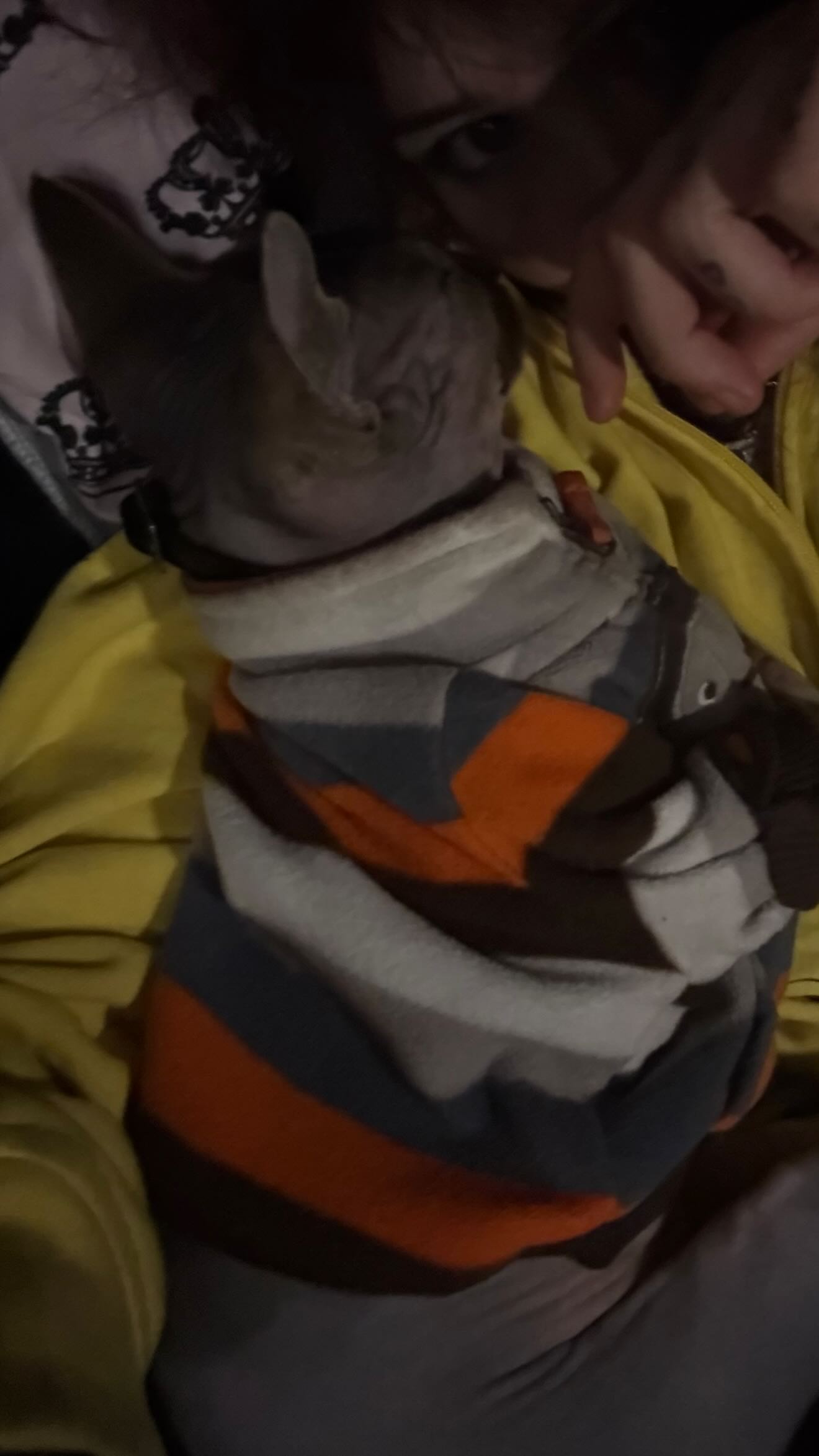 zommmbri instagram image archive image