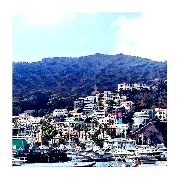 ashleybenson instagram image archive image