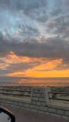federica.piccinni Altpins Profile Picture