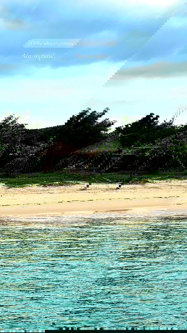 taylor.creeden taylor.creeden archive image