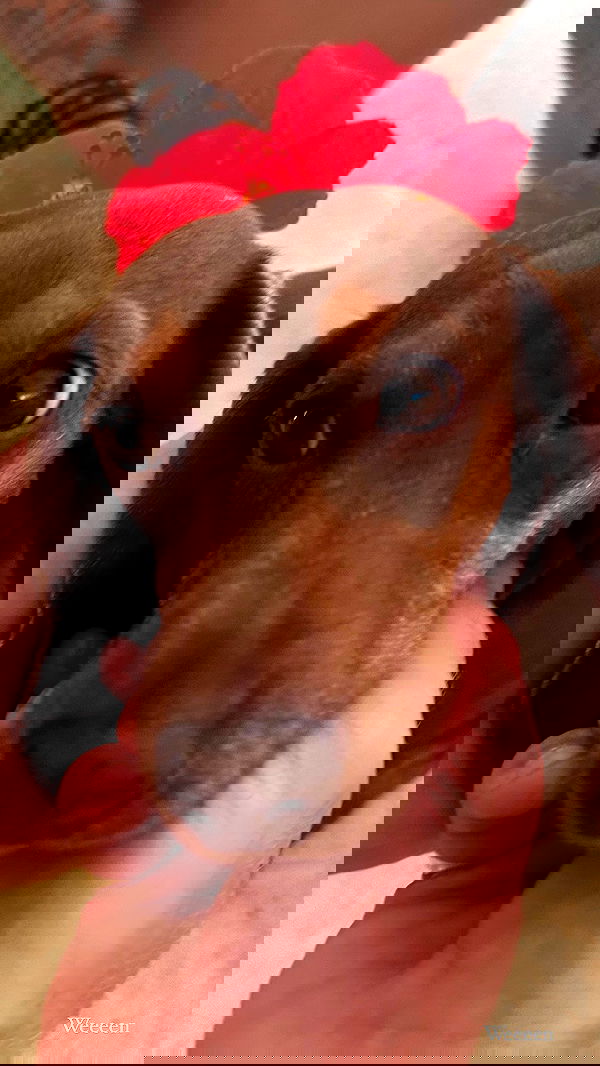 taylor.creeden taylor.creeden archive image