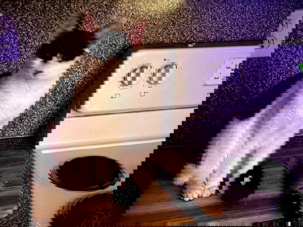 missnyxdawn missnyxdawn archive image