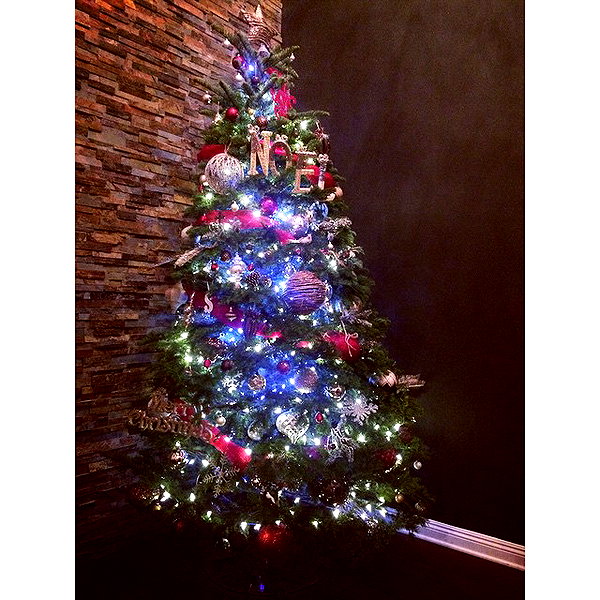 sashapieterse instagram image archive image