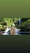by.diwwa Altpins Profile Picture