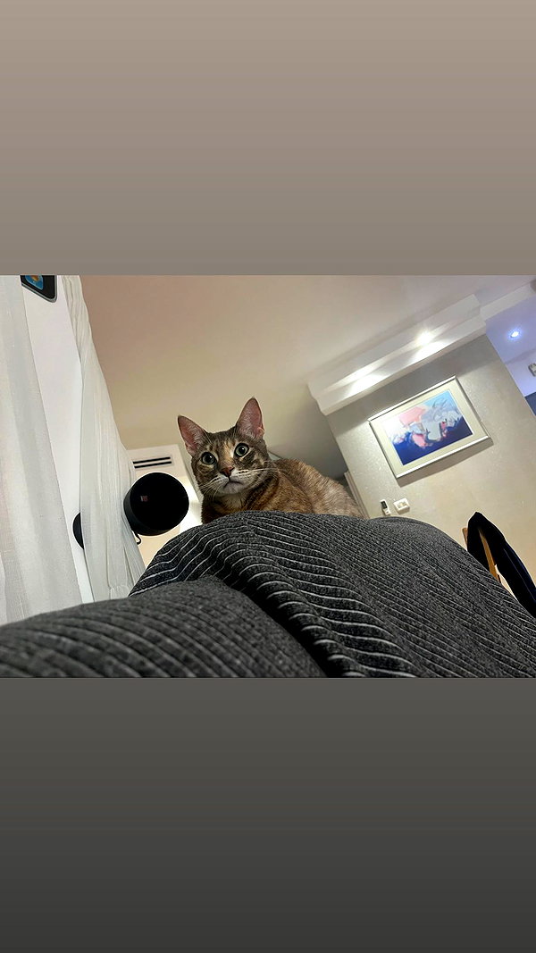 Archived image from @notchicore on Instagram