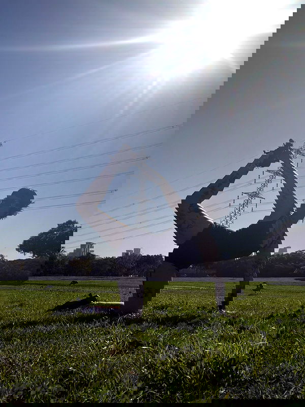 strawberryshanz strawberryshanz archive image