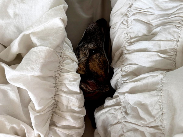 lilih instagram image archive image