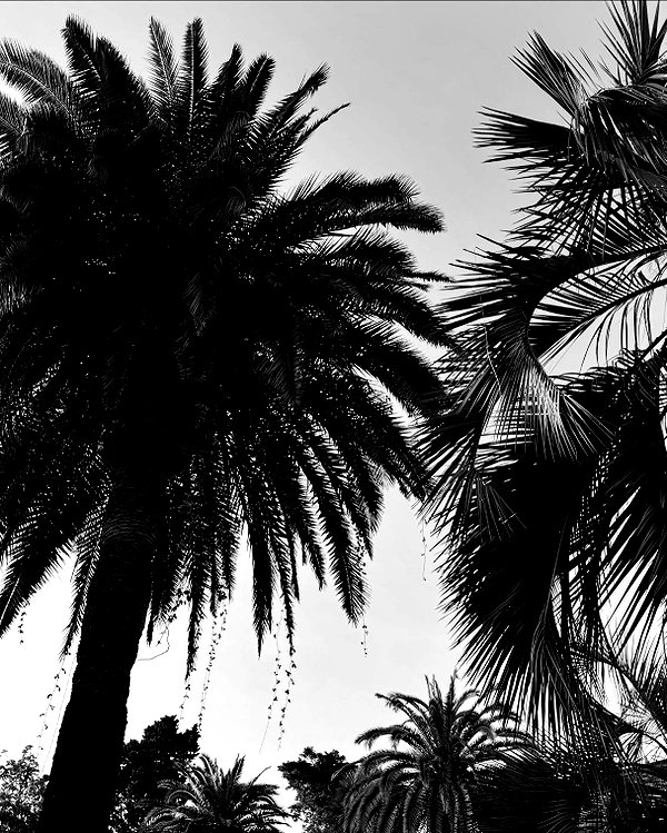 amatveyko instagram image archive image