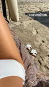 biancanataliie Altpins Profile Picture