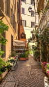 federica.piccinni Altpins Profile Picture