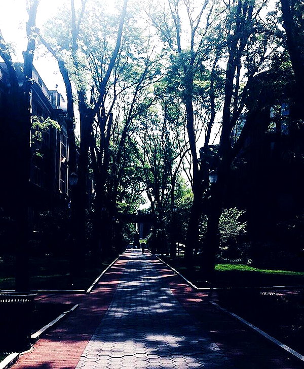 sadieemckennaa instagram image archive image