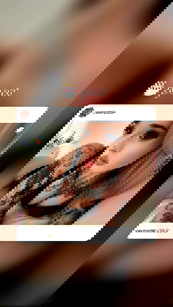 vwnrottie vwnrottie archive image