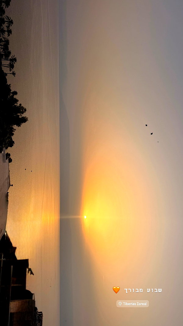bar__shadmi instagram image archive image