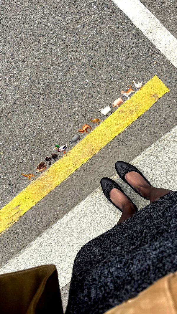 ekanve instagram image archive image