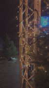alisen.mari Altpins Profile Picture