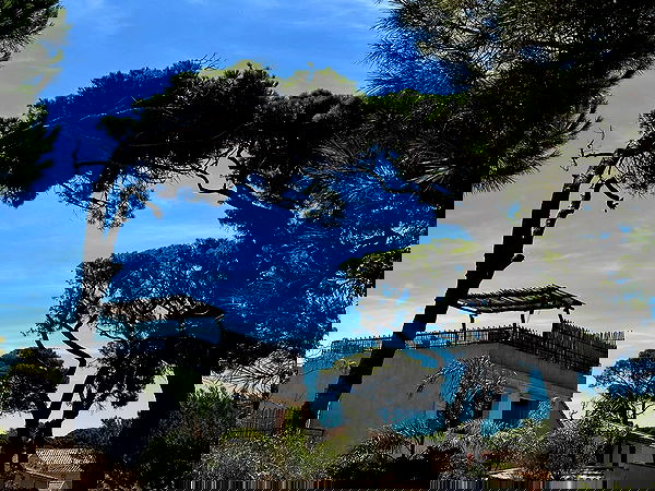 manjolamuriqi manjolamuriqi archive image