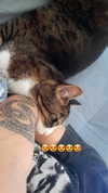 ronyida_ Altpins Profile Picture