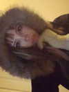 luvstuff3r Altpins Profile Picture