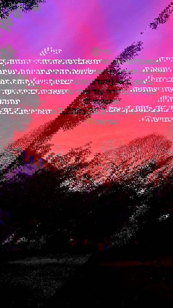 yasmin_kb yasmin_kb archive image