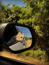 gabimfmoura Altpins Profile Picture